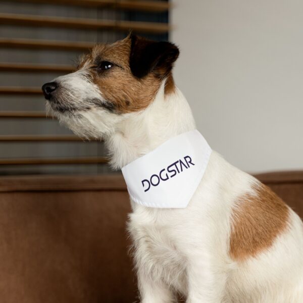 Pet Bandana Collar - Image 6